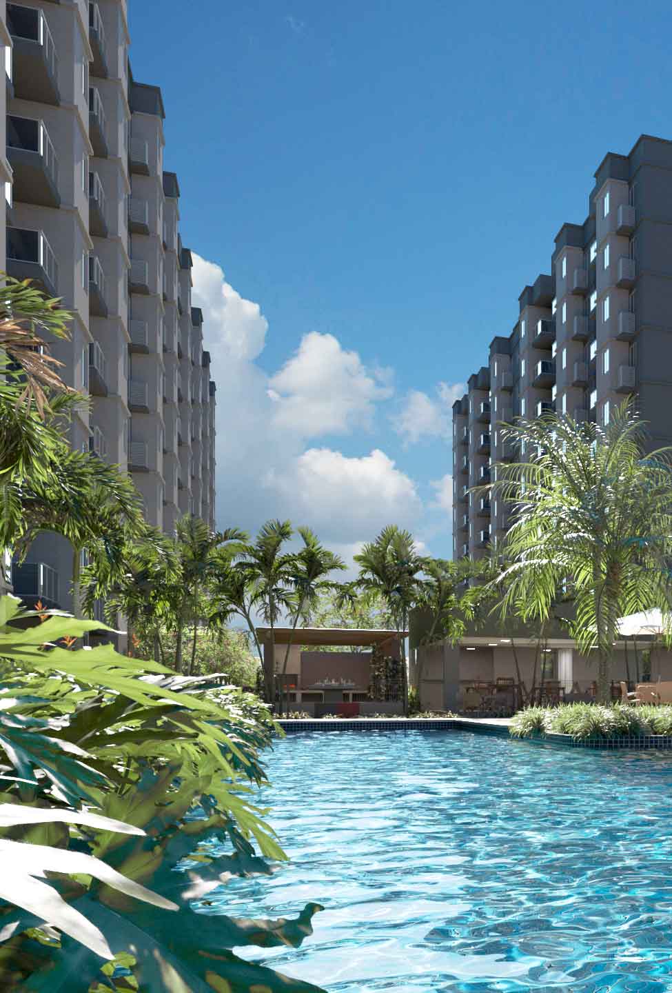 Aurora dos Pássaros 